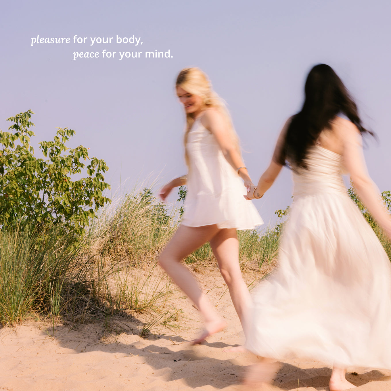 Silicone-Based Lubricant