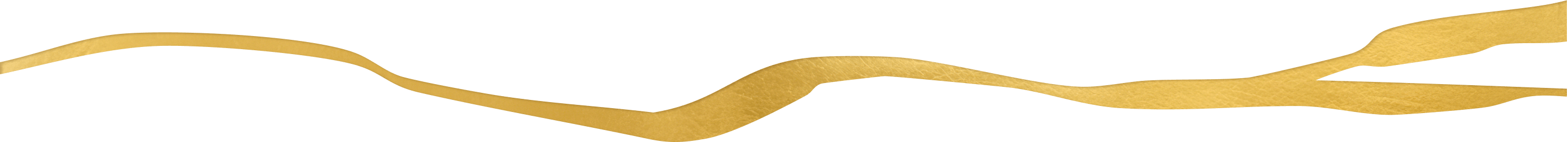 Decorative golden line