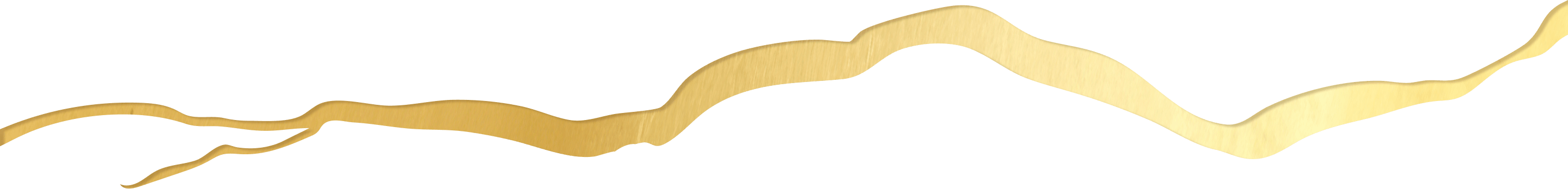 Decorative golden line