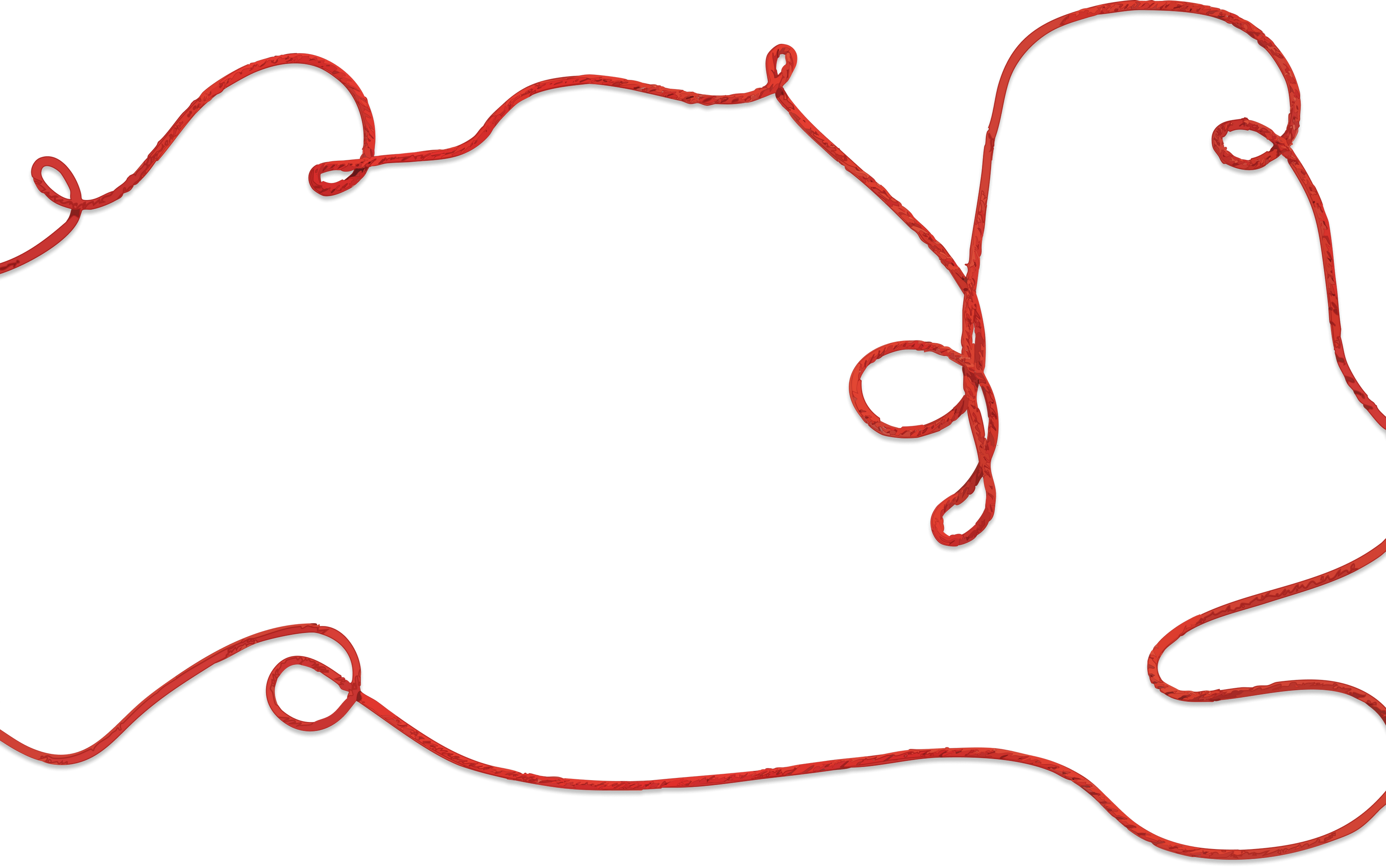 Decorative ropes image